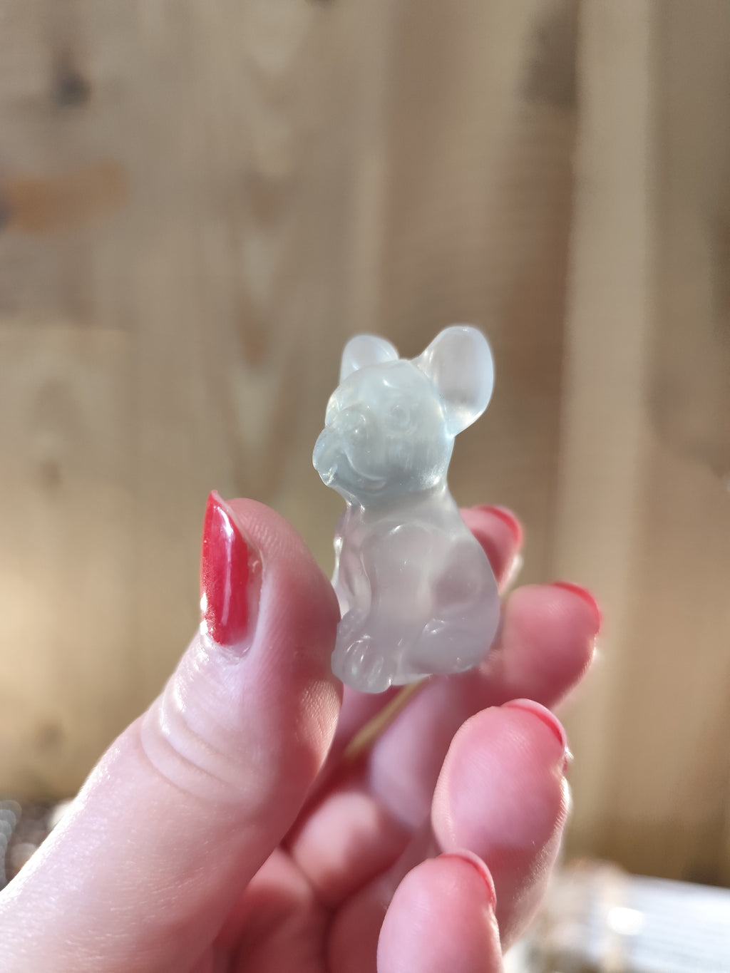 Chien Fluorite