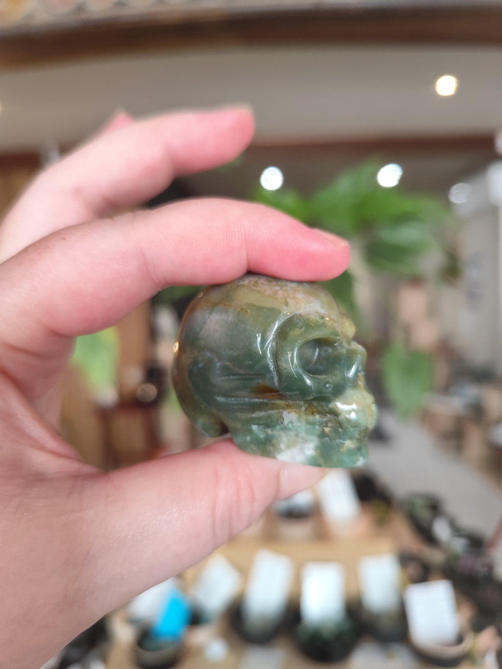 Crâne Agate Indienne