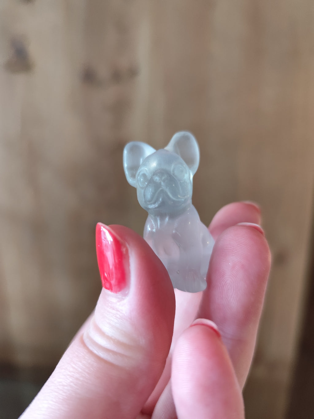 Chien Fluorite
