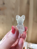 Chien Fluorite