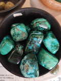 Chrysocolle