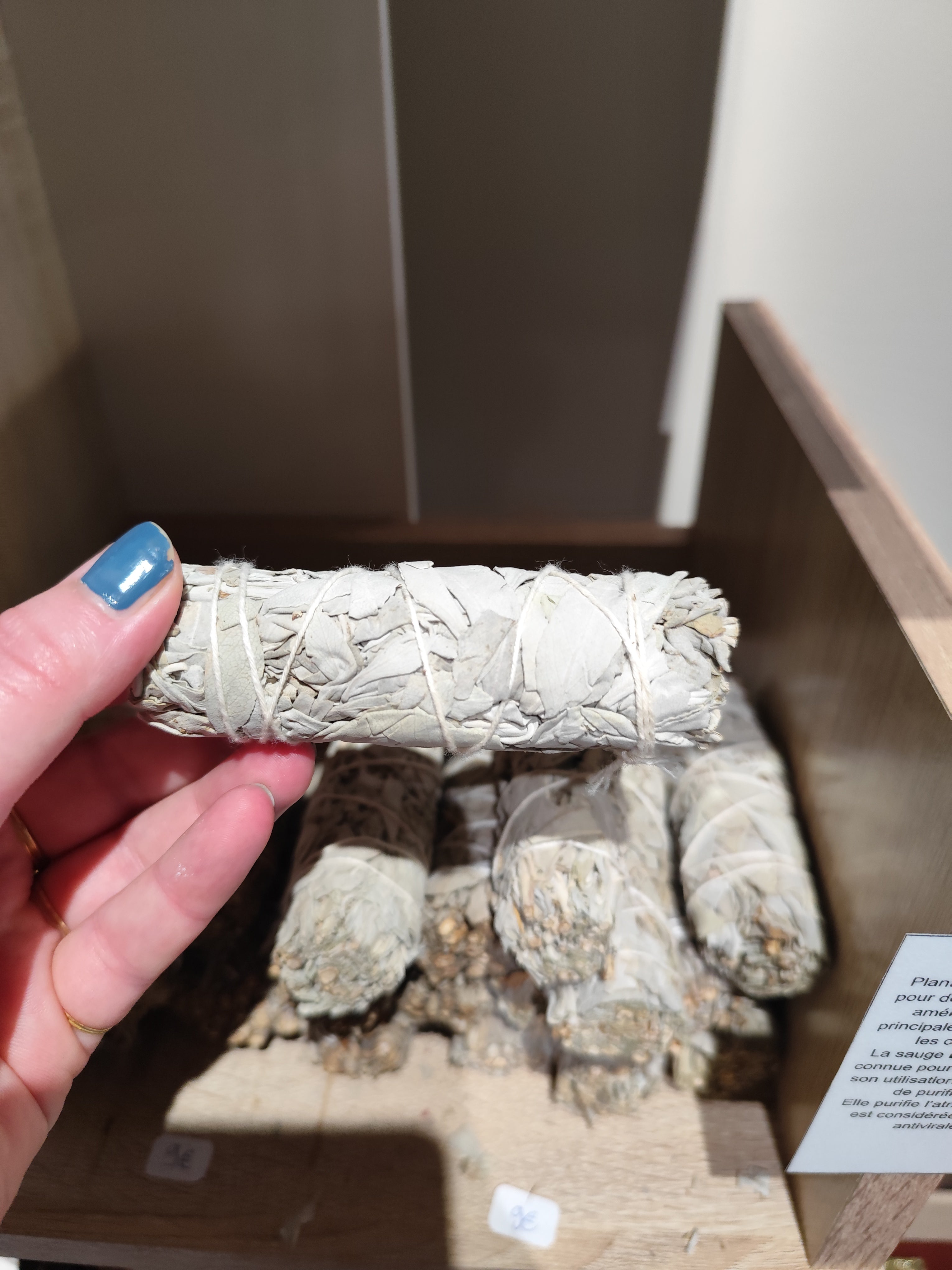 Sauge Blanche Californie